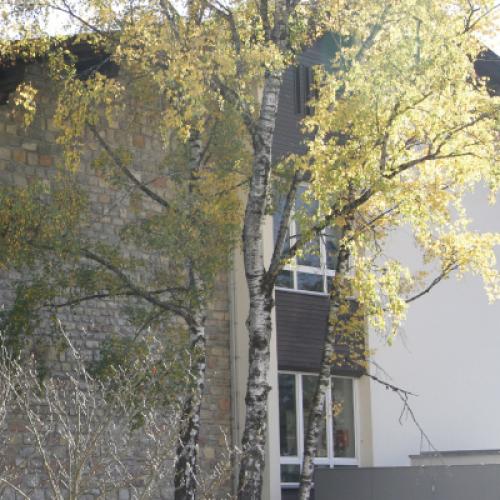 header1