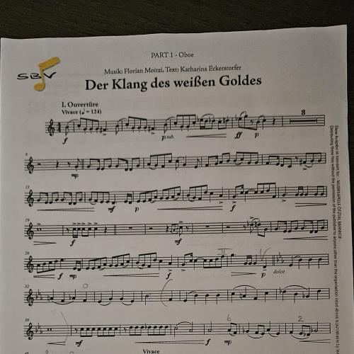 musikinstrumente 25.25 6