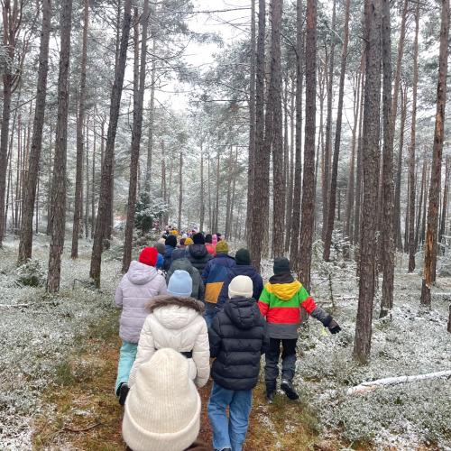 Nikolaus kommt 20252