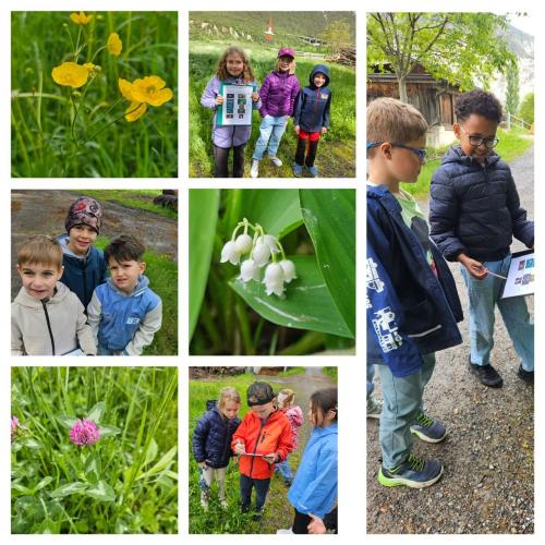 12.5. frühblüher1