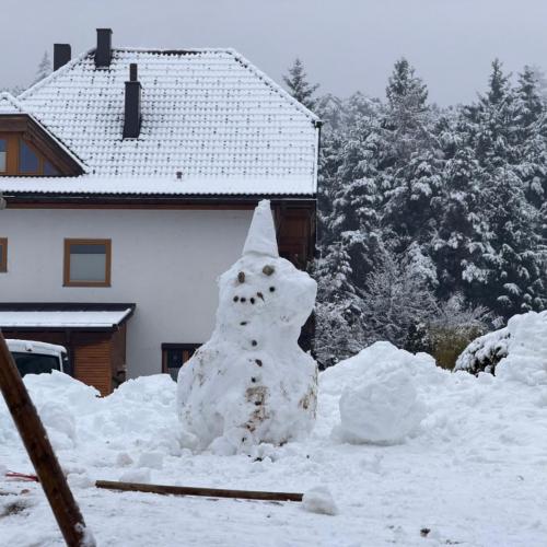 29.1. Wintereinbruch 1