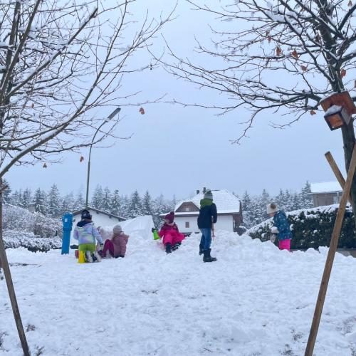 29.1. Wintereinbruch 8